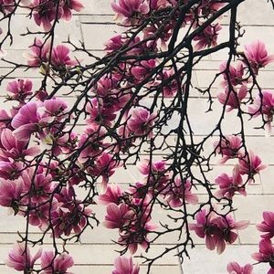 Meet your Posher, Kashika